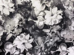 VOGUE FABRICS STORE -VOGUE FABRICS STORE VF225 38 flat